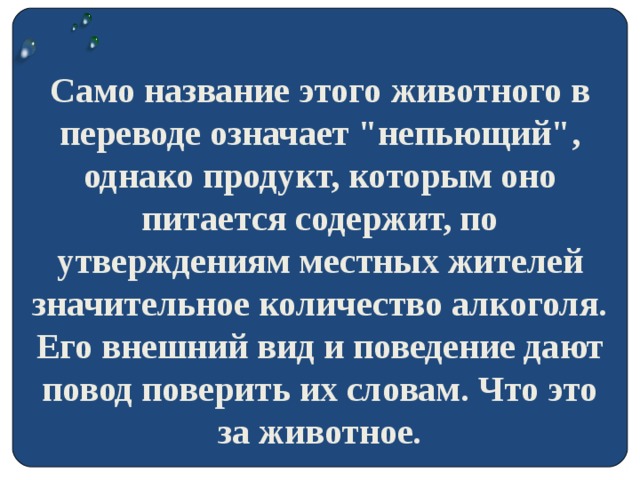 Само название этого животного в переводе означает 