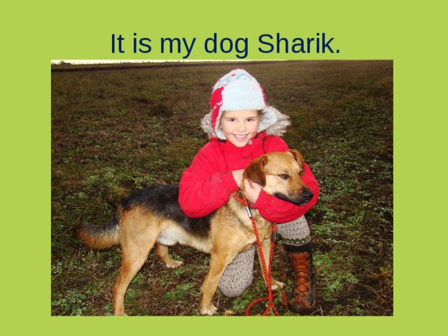 It is my dog Sharik.