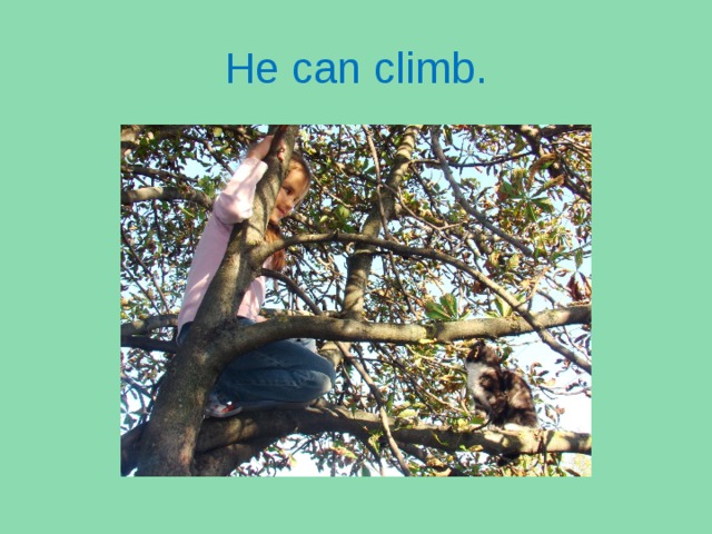He can climb.