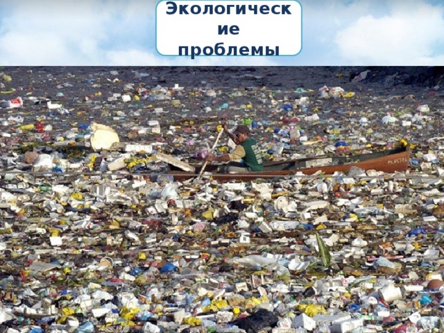 Экологические проблемы 