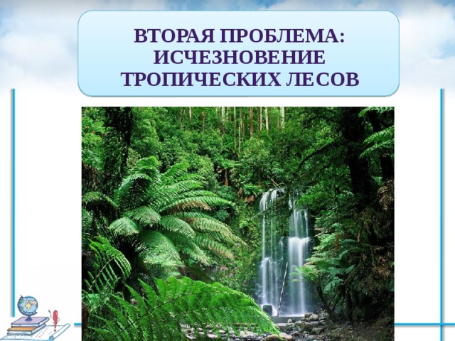 Вторая проблема: ИСЧЕЗНОВЕНИЕ ТРОПИЧЕСКИХ ЛЕСОВ 