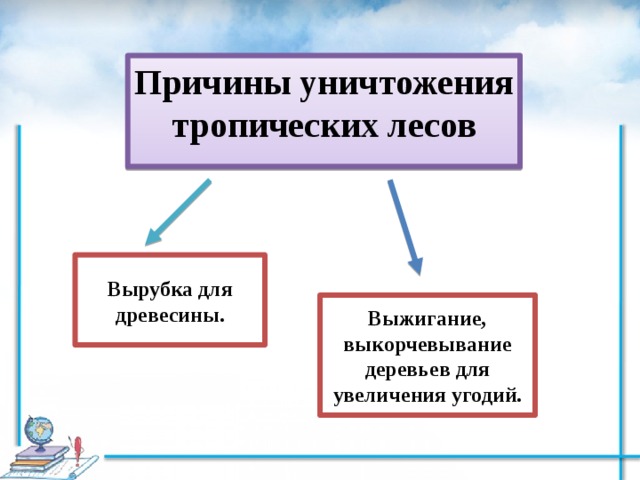 причины уничтожения лесов. последствия исчезновения тропических лесов. последствия уничтожения леса. причины уничтожения лесов. вырубка лесов причины.