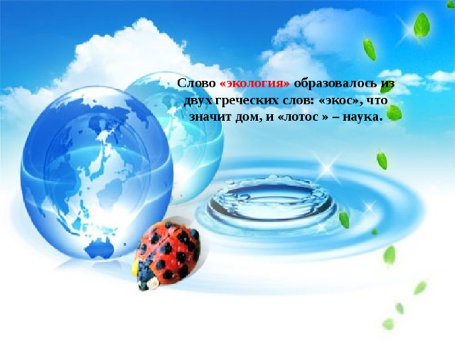 Слово «экология» образовалось из двух греческих слов: «экос», что значит дом, и «лотос » – наука.   