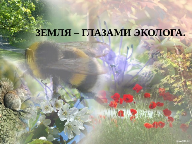 ЗЕМЛЯ – ГЛАЗАМИ ЭКОЛОГА.   
