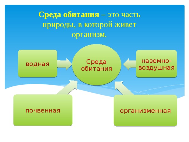   Среда обитания – это часть природы, в которой живет организм. Среда обитания водная наземно-воздушная почвенная организменная 