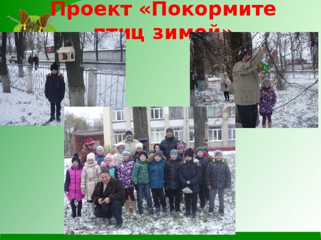Проект «Покормите птиц зимой» 