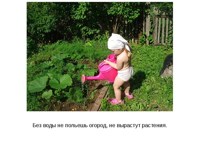 Без воды не польешь огород, не вырастут растения. 