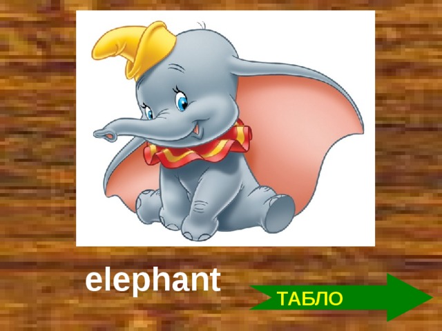 elephant ТАБЛО