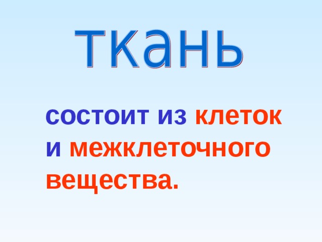 состоит из клеток  и межклеточного вещества. 