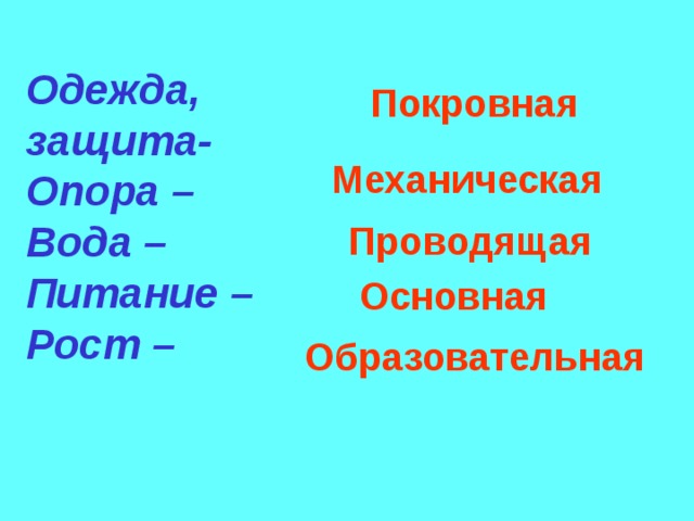 Одежда, защита- Опора – Вода – Питание – Рост – Покровная Механическая Проводящая Основная Образовательная 