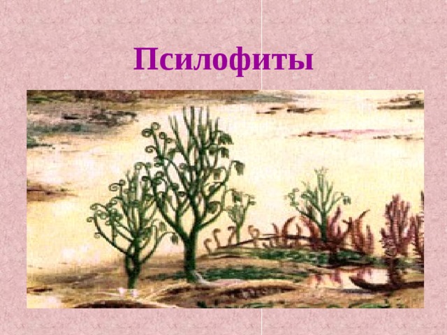 Псилофиты 