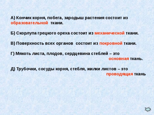 А) Кончик корня, побега, зародыш растения состоит из образовательной ткани.  Б) Скорлупа грецкого ореха состоит из механической ткани.  В) Поверхность всех органов состоит из покровной ткани.  Г) Мякоть листа, плодов, сердцевина стеблей – это  основная ткань.  Д) Трубочки, сосуды корня, стебля, жилки листов – это  проводящая ткань 