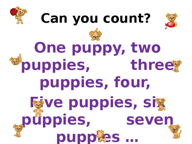 Can you count? One puppy, two puppies, three puppies, four, Five puppies, six puppies, seven puppies … How many puppies? 