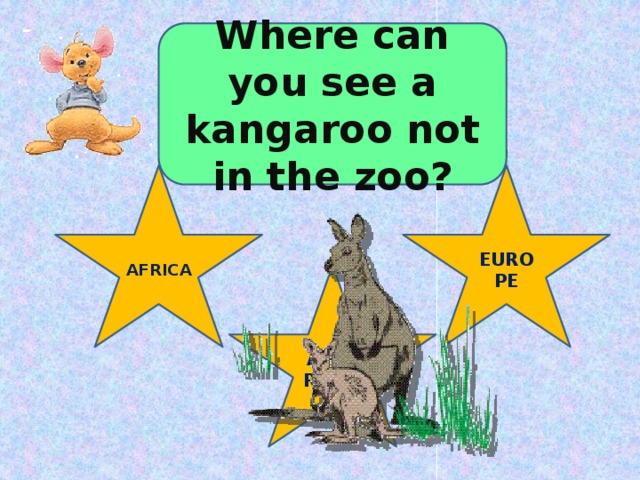 Where can you see a kangaroo not in the zoo? AFRICA EUROPE AUSTRALIA 