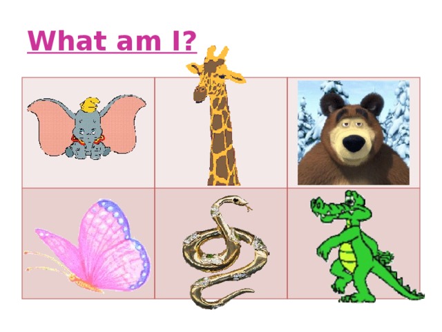 What am I?           
