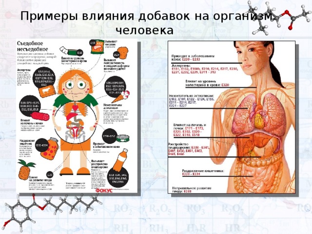 Удивительный мир грибов - скачать презентацию