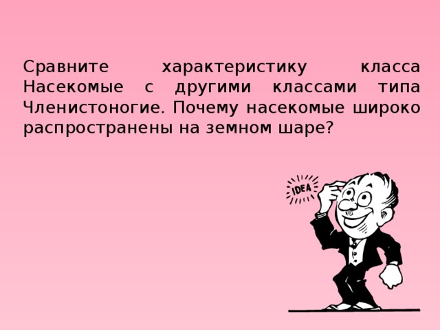 Сравните характеристику класса Насекомые с другими классами типа Членистоногие. Почему насекомые широко распространены на земном шаре? 