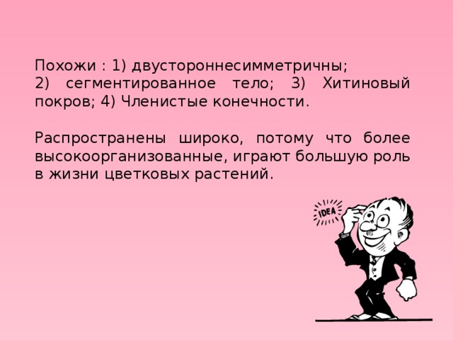 Похожи : 1) двустороннесимметричны; 2) сегментированное тело; 3) Хитиновый покров; 4) Членистые конечности. Распространены широко, потому что более высокоорганизованные, играют большую роль в жизни цветковых растений. 