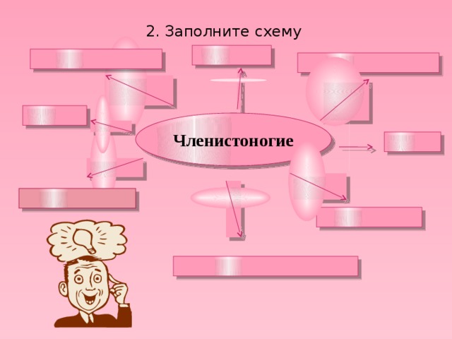 2. Заполните схему Членистоногие 