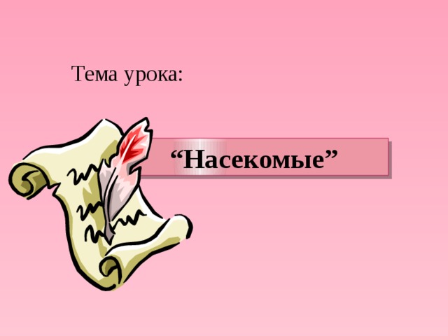 Тема урока: “ Насекомые” 