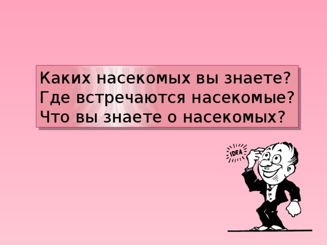 Каких насекомых вы знаете? Где встречаются насекомые? Что вы знаете о насекомых? 