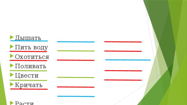 Презентация по уроку окружающего мира "Растения и животные"