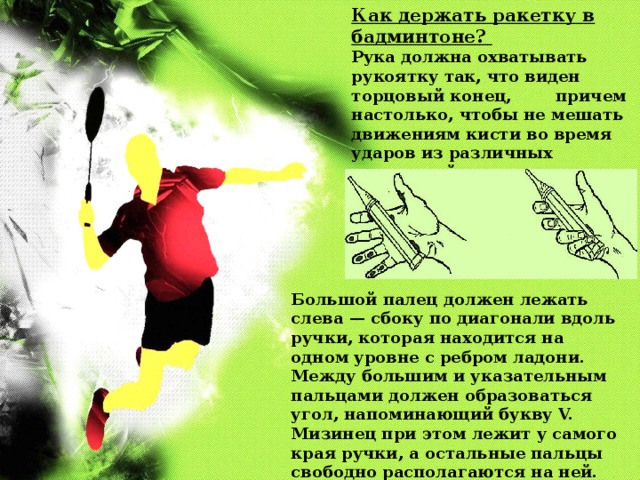 Как держать ракетку в бадминтоне? Рука должна охватывать рукоятку так, что виден торцовый конец, причем настолько, чтобы не мешать движениям кисти во время ударов из различных положений. Большой палец должен лежать слева — сбоку по диагонали вдоль ручки, которая находится на одном уровне с ребром ладони. Между большим и указательным пальцами должен образоваться угол, напоминающий букву V. Мизинец при этом лежит у самого края ручки, а остальные пальцы свободно располагаются на ней. 