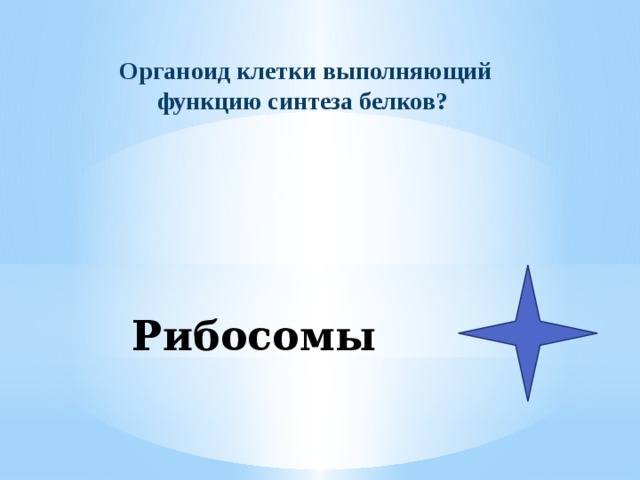 Органоид клетки выполняющий функцию синтеза белков? Рибосомы 