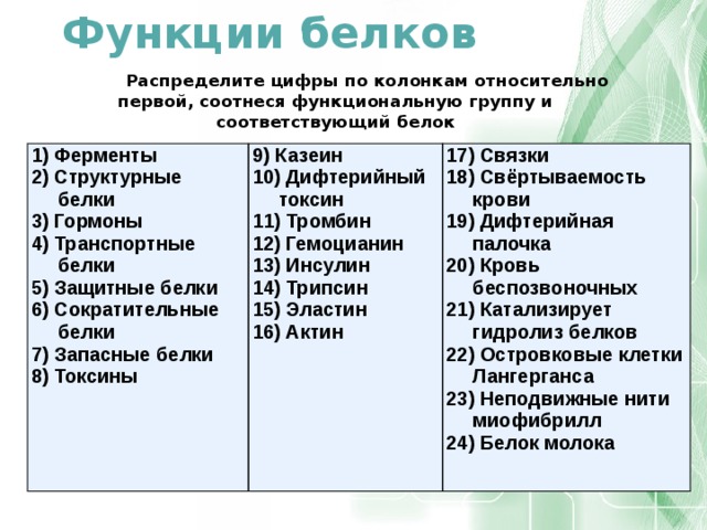 Установить соответствие белков. Распределите цифры по колонкам относительно первой. Распределите белки по функциональным группам. Казеин функция белка. Казеин белок функции.