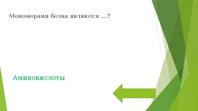 Мономерами белка являются …? Аминокислоты 