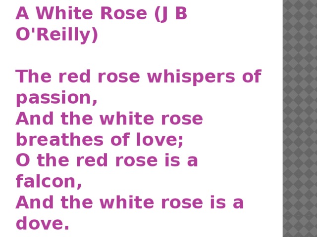 A White Rose (J B O'Reilly)  The red rose whispers of passion,  And the white rose breathes of love;  O the red rose is a falcon,  And the white rose is a dove.  But I send you a cream-white rosebud  With a flush on its petal tips;  For the love that is purest and sweetest  Has a kiss of desire on the lips. 