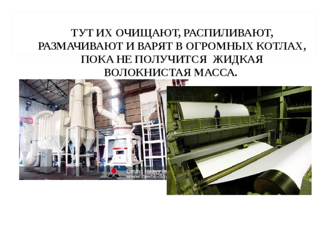 ТУТ ИХ ОЧИЩАЮТ, РАСПИЛИВАЮТ, РАЗМАЧИВАЮТ И ВАРЯТ В ОГРОМНЫХ КОТЛАХ, ПОКА НЕ ПОЛУЧИТСЯ ЖИДКАЯ ВОЛОКНИСТАЯ МАССА. 
