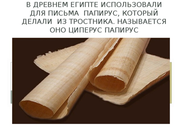 В ДРЕВНЕМ ЕГИПТЕ ИСПОЛЬЗОВАЛИ ДЛЯ ПИСЬМА ПАПИРУС, КОТОРЫЙ ДЕЛАЛИ ИЗ ТРОСТНИКА. НАЗЫВАЕТСЯ ОНО ЦИПЕРУС ПАПИРУС АА 