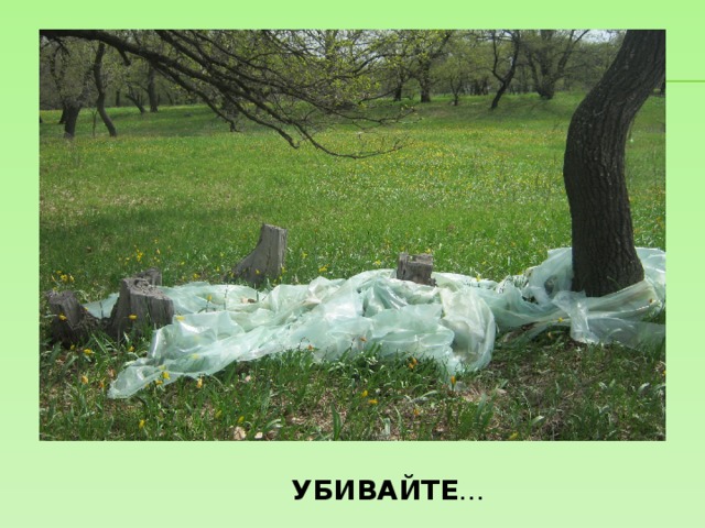 УБИВАЙТЕ … 