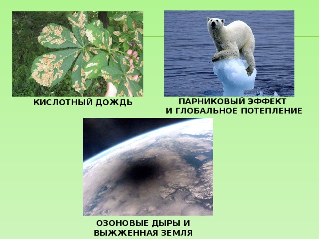 Кислотные дожди озоновые дыры парниковый эффект презентация