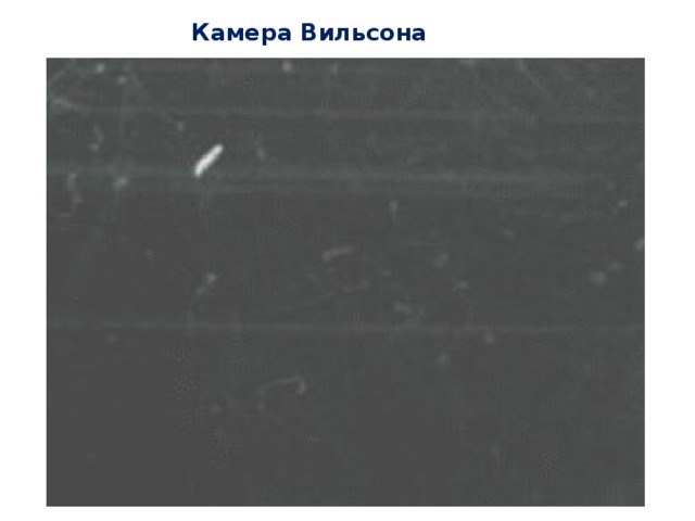 Камера Вильсона 