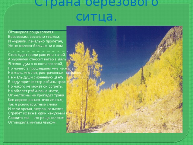 Отговорила роща золотая эпитеты. Страна берёзового ситца Есенин стих. Отговорила роща Золотая березовым веселым языком. Отговорила роща Золотая Есенин. Стихотворение Отговорила роща Золотая.