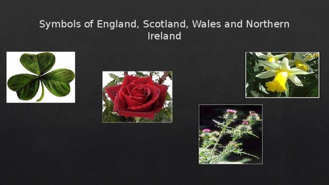 Symbols of England, Scotland, Wales and Northern Ireland 
