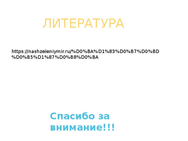 ЛИТЕРАТУРА https://nashzeleniymir.ru/%D0%BA%D1%83%D0%B7%D0%BD%D0%B5%D1%87%D0%B8%D0%BA Спасибо за внимание!!! 