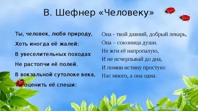 Ты человек