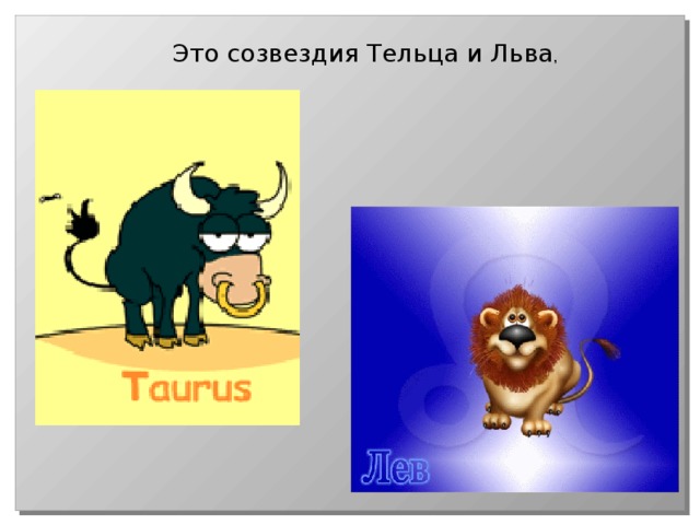 Это созвездия Тельца и Льва , 
