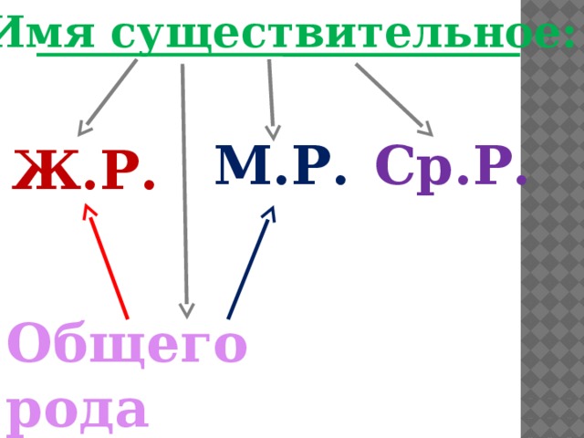 Имя существительное: М.Р. Ср.Р. Ж.Р. Общего рода 