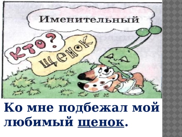 Ко мне подбежал мой любимый щенок . 