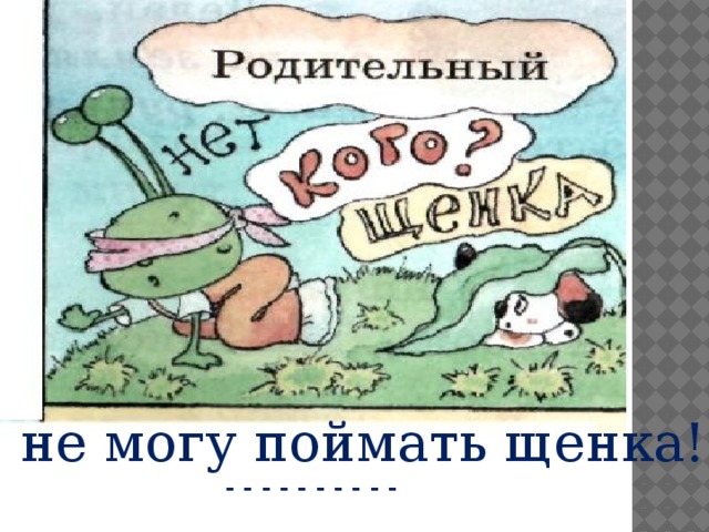 Я не могу поймать щенка!        - - - - - - - - - - 