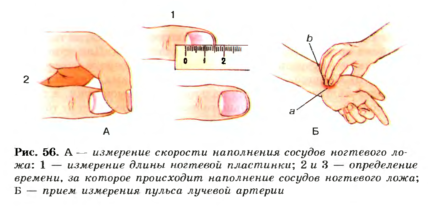 Артериальный пульс наполнение. Измерение скорости наполнения сосудов ногтевого ложа. Измерение кровотока в сосудах ногтевого ложа. Измерение скорости кровенаполнения капилляров ногтевого ложа. Капилярное наполнение логтевого ложе.