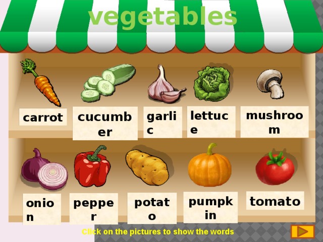 vegetables mushroom lettuce garlic cucumber carrot tomato pumpkin potato pepper onion Click on the pictures to show the words 