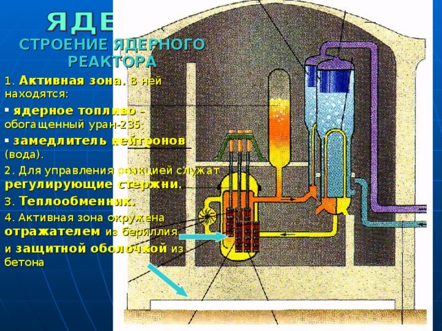 СТРОЕНИЕ ЯДЕРНОГО РЕАКТОРА 1.  Активная зона . В ней находятся:  ядерное топливо  – обогащенный уран-235;  замедлитель нейтронов  (вода). 2. Для управления реакцией служат регулирующие стержни . 3.  Теплообменник. 4. Активная зона окружена отражателем из бериллия  и  защитной оболочкой  из бетона 
