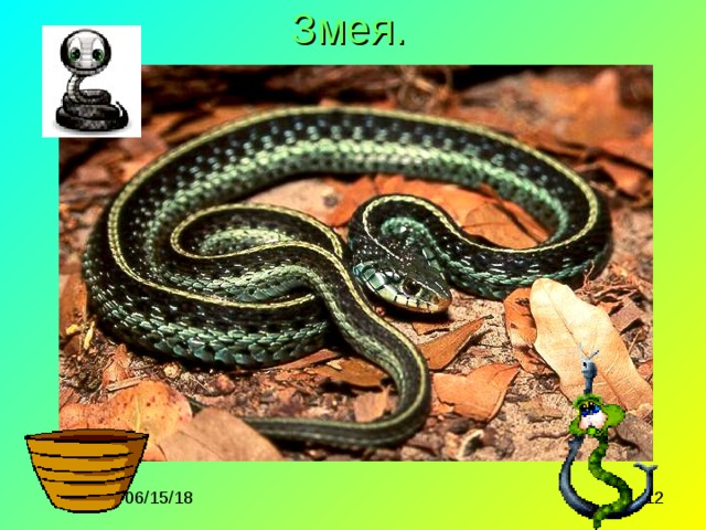 Змея. 