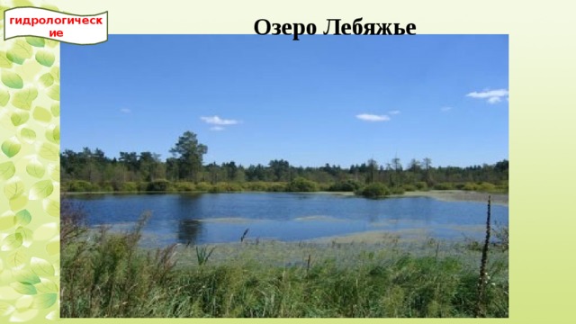 гидрологические Озеро Лебяжье 