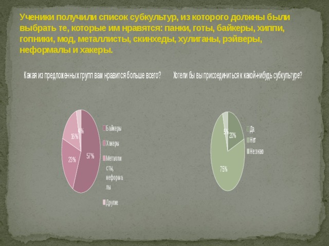 Ученики получили список субкультур, из которого должны были выбрать те, которые им нравятся: панки, готы, байкеры, хиппи, гопники, мод, металлисты, скинхеды, хулиганы, рэйверы, неформалы и хакеры. 